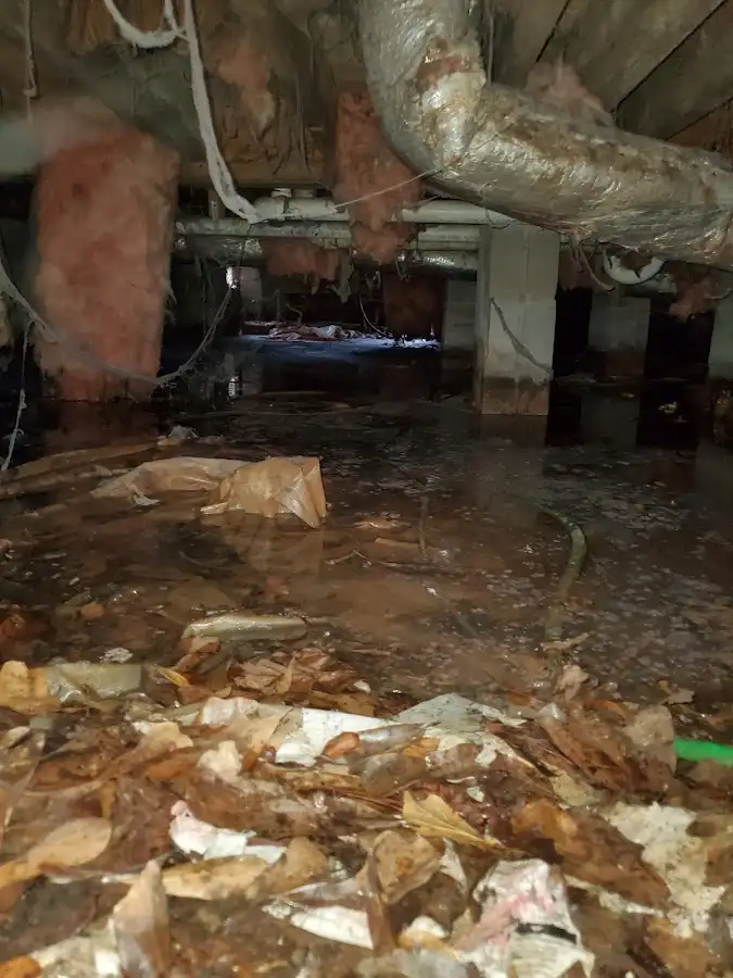 Crawl space flood assessment for Leak Detection & Repair in Thomaston
